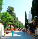 кипарисовая аллея.png