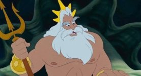 Не тронь кота!