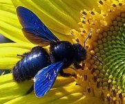 Островок природы в бетонных джунглях