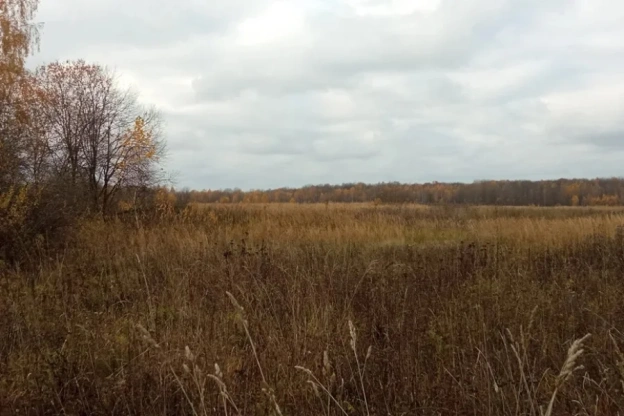 В Калужской области планируют отобрать 515 гектаров земли у собственника, который их не обрабатывает