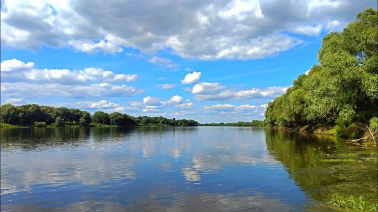 Ретроспектива: как разливалась Ока в Калуге