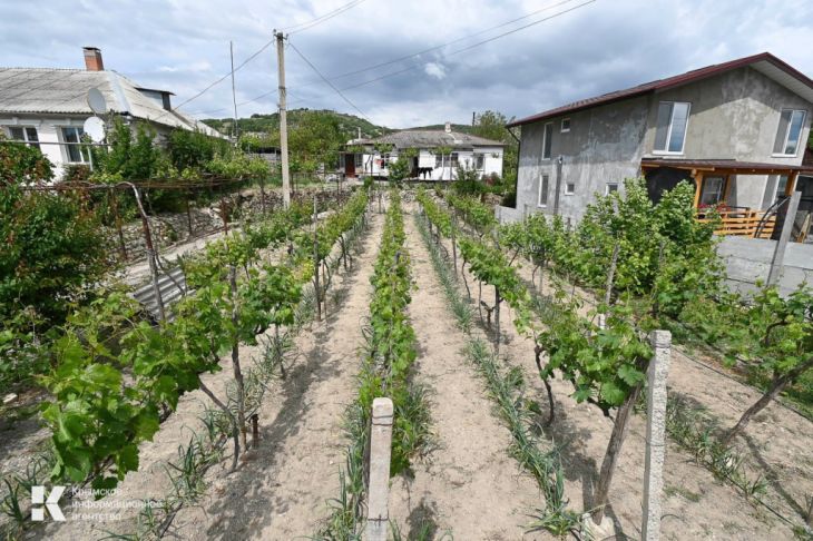783 дома в Крыму посетят специалисты управления статистики