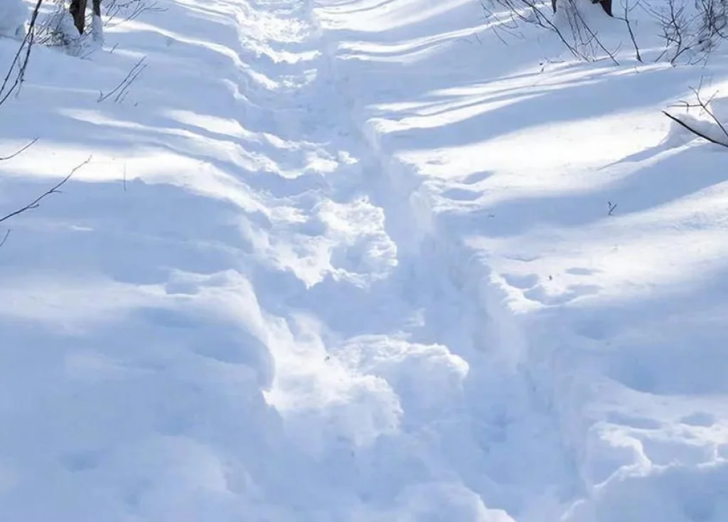 Жители села Калужской области не могут отвезти детей в детсад из-за снега