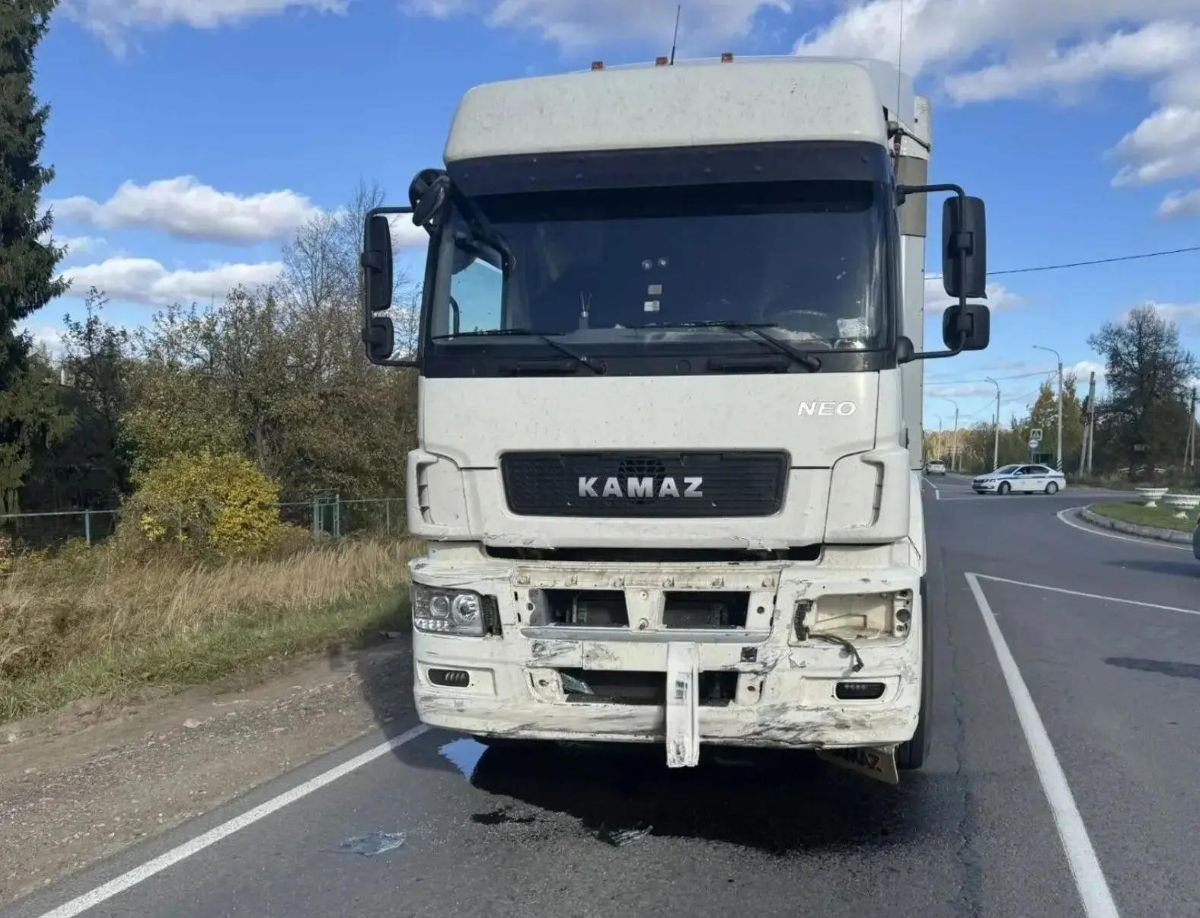 Женщина с годовалым ребенком погибли в ДТП с КАМАЗ-ом на калужской трассе