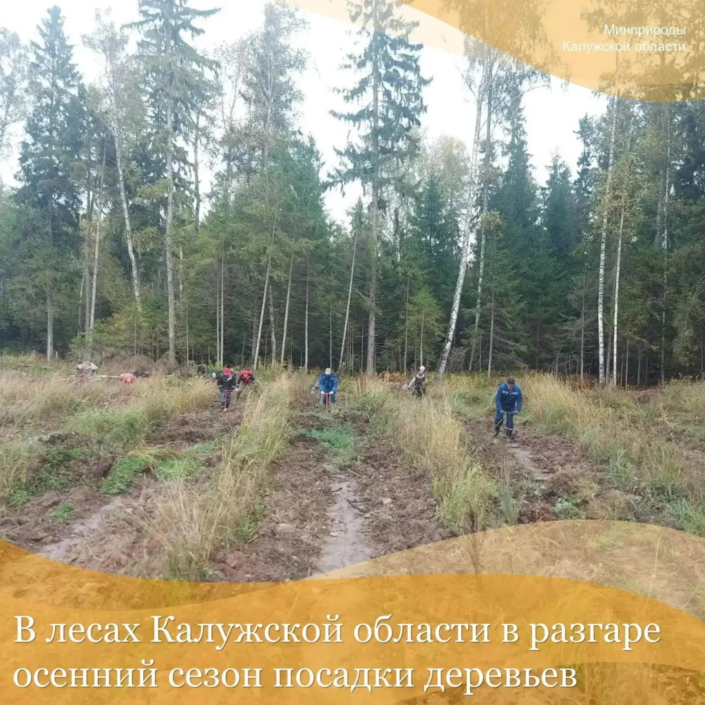 В Калужской области стартовал осенний сезон высадки деревьев