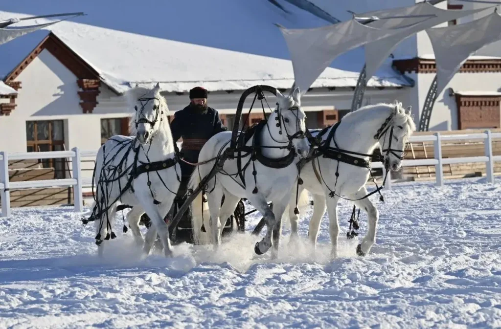Русская тройка официально стала национальным видом спорта