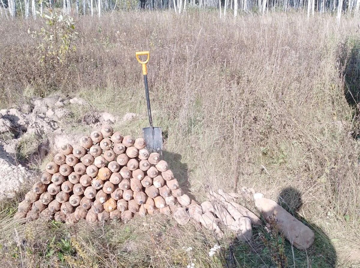 Схрон из более сотни боеприпасов обезвредили в калужском районе