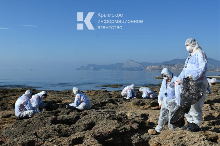 Росприроднадзор оштрафовал компанию из Краснодара на четверть миллиарда за потопленное судно в Керченском проливе