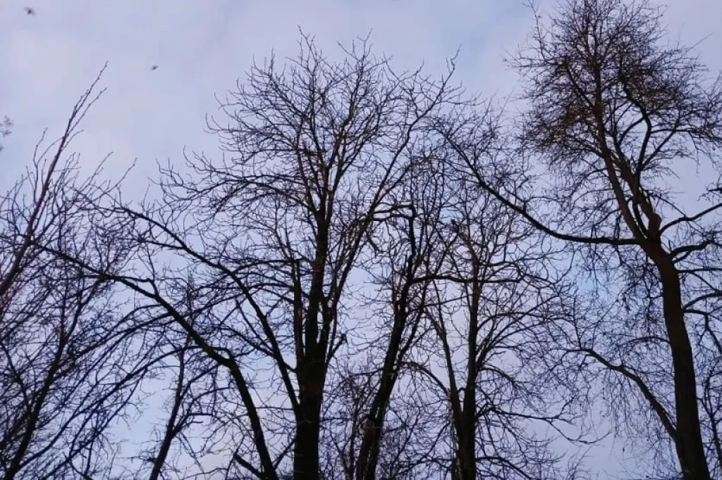 В Калужской области сбили беспилотник