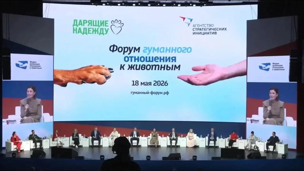 В Калужской области втрое сократилось количество жалоб на бездомных животных