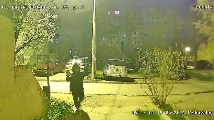 В симферопольском дворе мужчина доской избил до полусмерти собаку