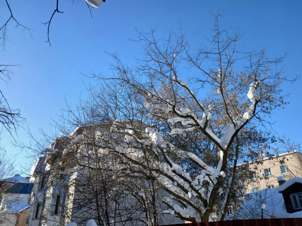 Резкое потепление надвигается на Калужскую область