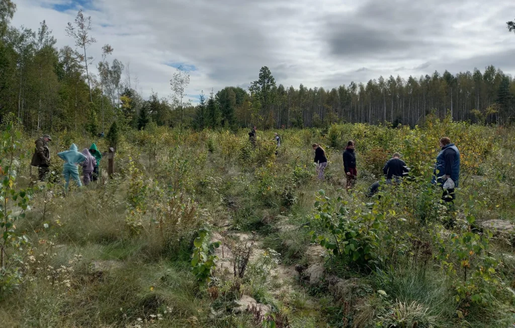 На обследование лесов Калужской области выделят более 14 миллионов рублей