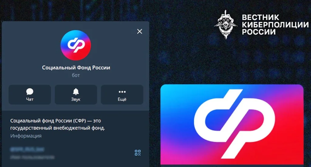 Калужан предупреждают о мошеннических ботах под видом СФР