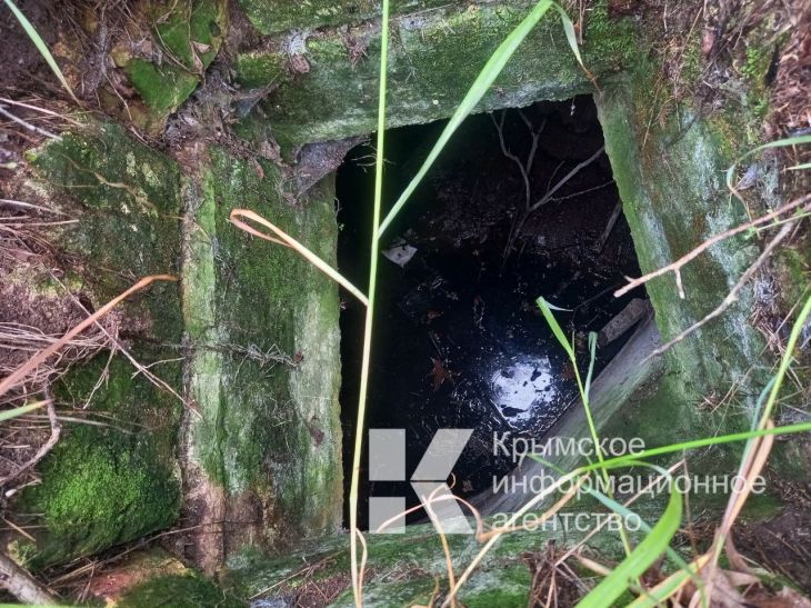 Житель села под Симферополем жалуется на открытый глубокий коллектор, в который у него падала собака