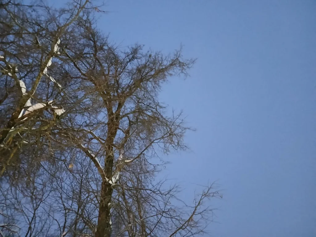 В Калужской области ночью объявляли ракетную опасность