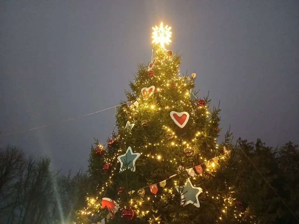 Какой будет погода на Новый год в Калуге