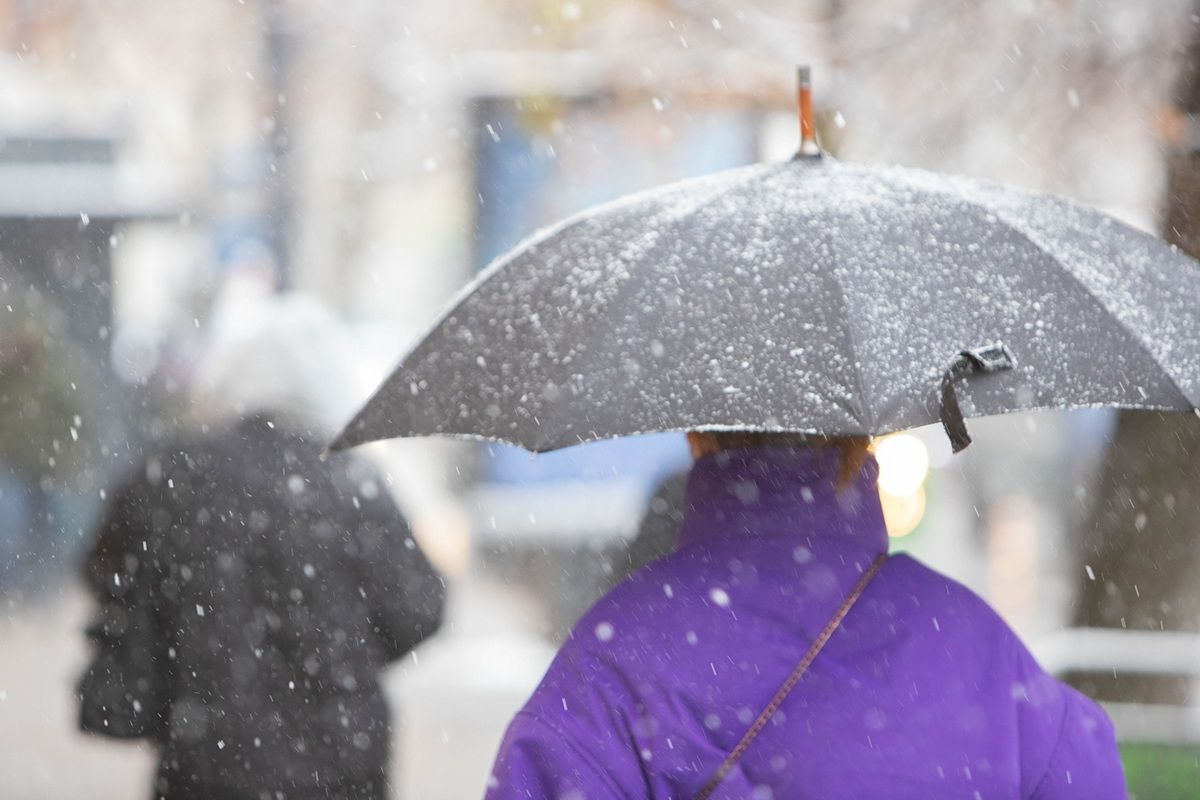 В калужском наукограде стихия повалила 12 деревьев