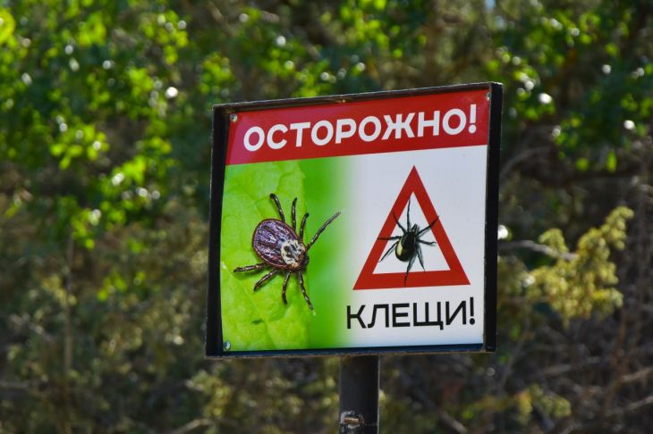 С начала года в Крыму зарегистрировали семь случаев заболевания иксодовым клещевым боррелиозом