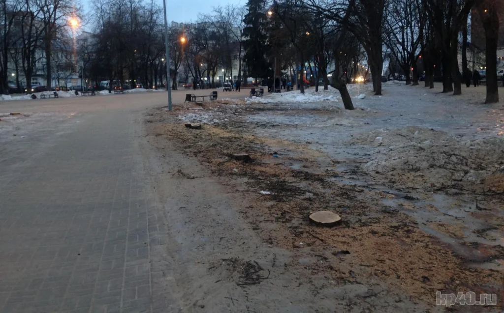 В Калуге решают, ставить ли ещё один памятник с танком