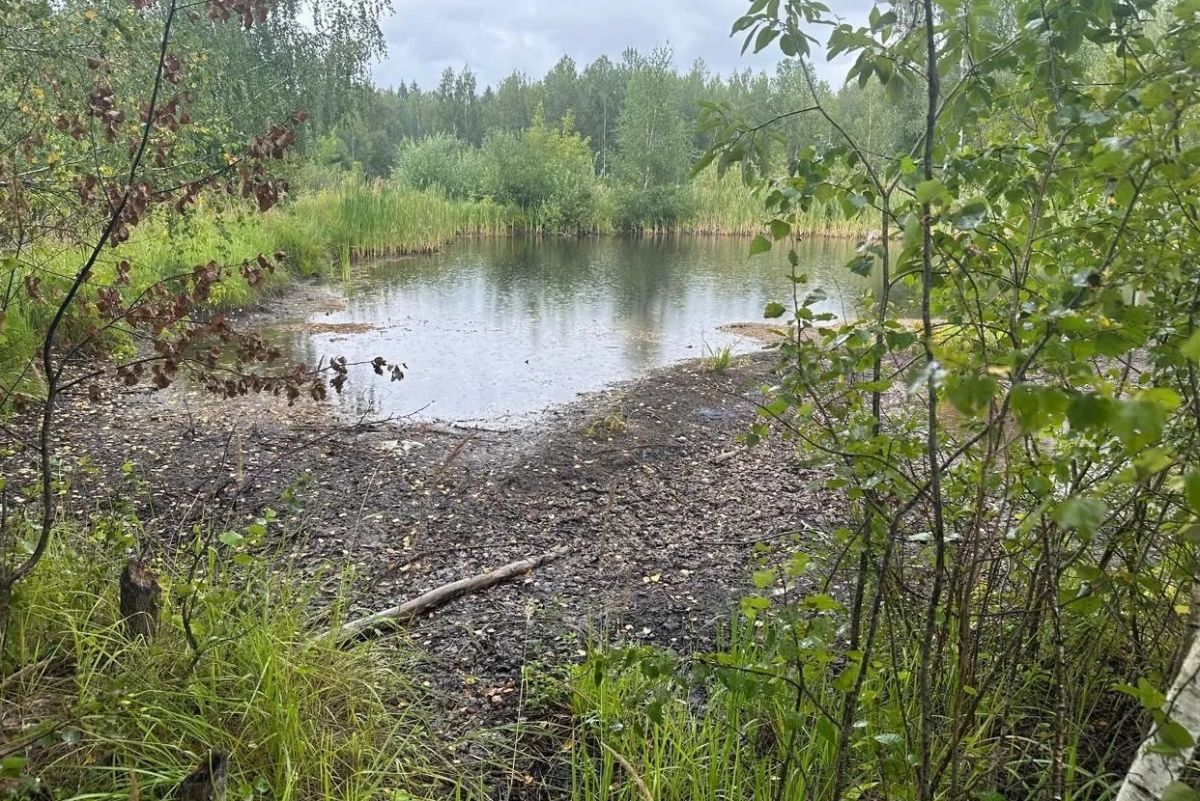 Котлованы с химическими отходами в Ястребовке Калуги ликвидируют