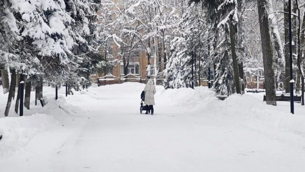Калуга пережила самую холодную ночь года