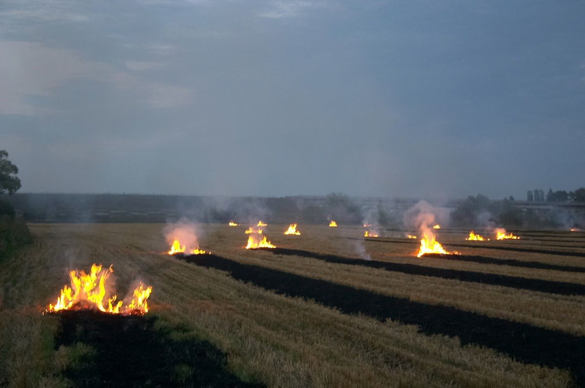 Уже 30 раз выезжали пожарные на пал травы с начала года в Калужской области