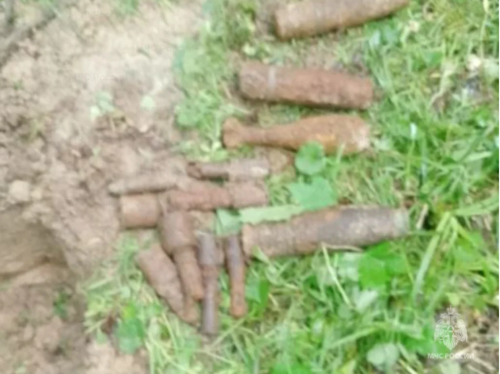 Схрон с боеприпасами обнаружили в Калужской области