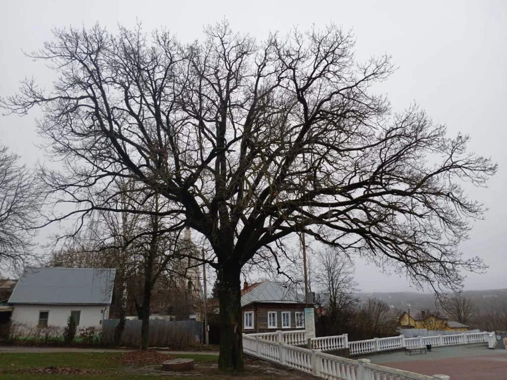 Калужская область заняла 18 место в итоговом рейтинге регионов