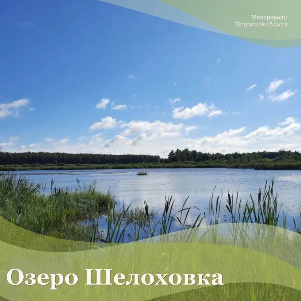 Больше 130 тысяч калужан поучаствовали в Международном экологическом диктанте