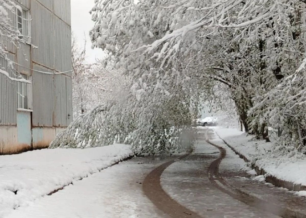 Три округа в Калужской области обесточены из-за непогоды