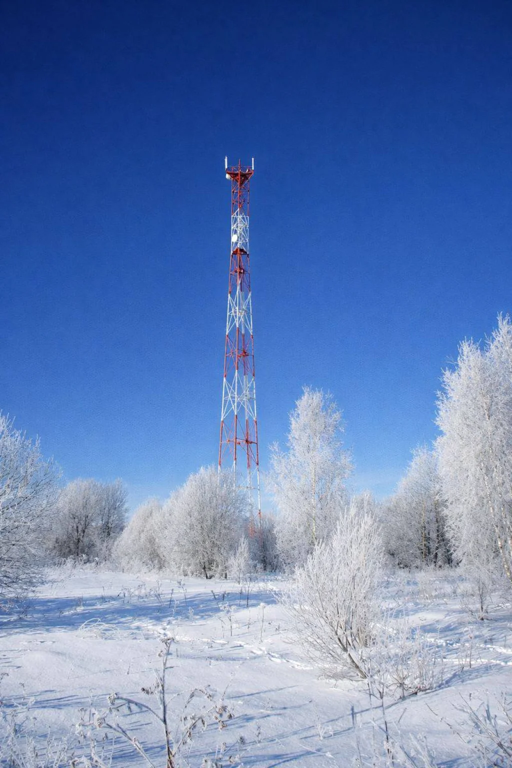 МТС запустила отечественные базовые станции в Калужской области