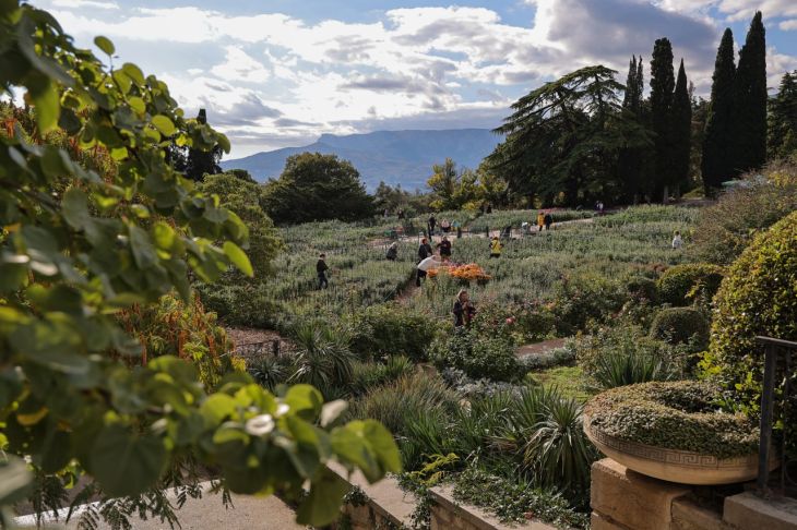 Студентам и Татьянам 25 января подарят бесплатный вход в Никитский ботсад