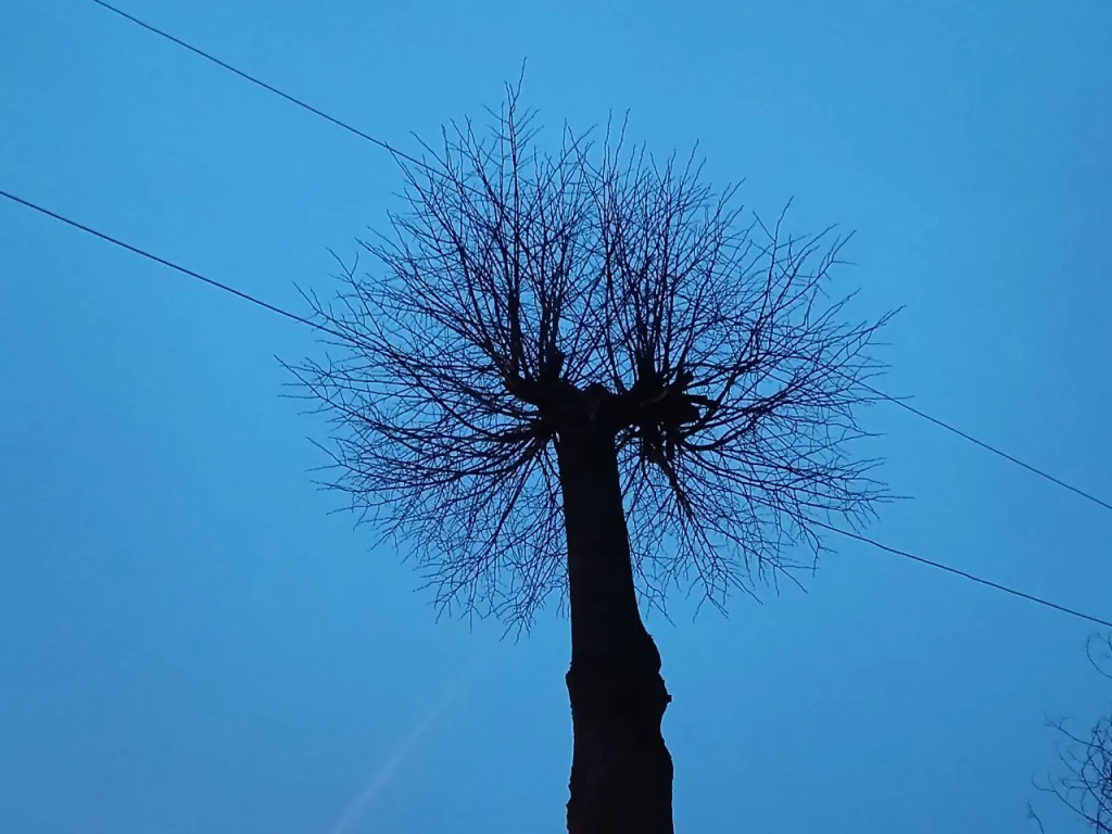 Небо над Калугой закрывали для самолетов