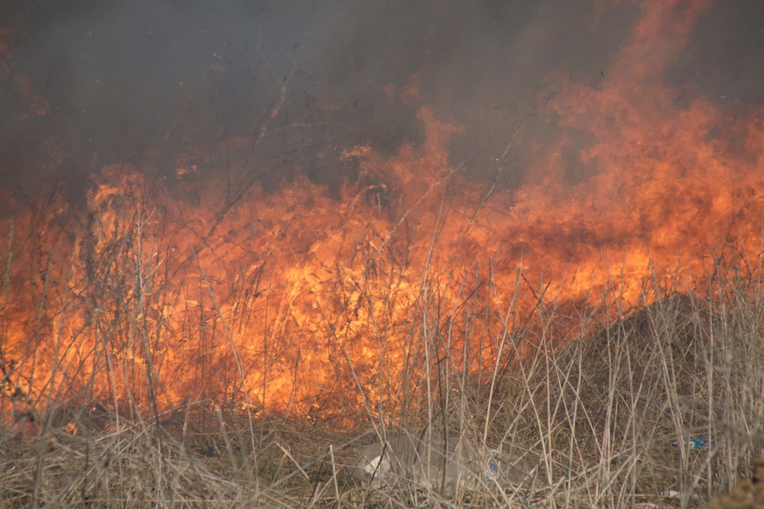 10 пожаров произошло за сутки в Калужской области
