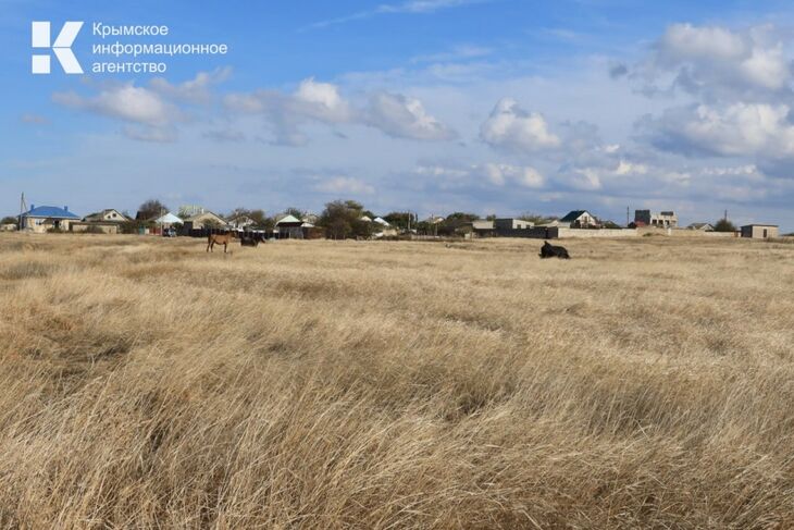 Два симферопольца назначили себя руководителями СНТ и развели 70 человек на 25 миллионов