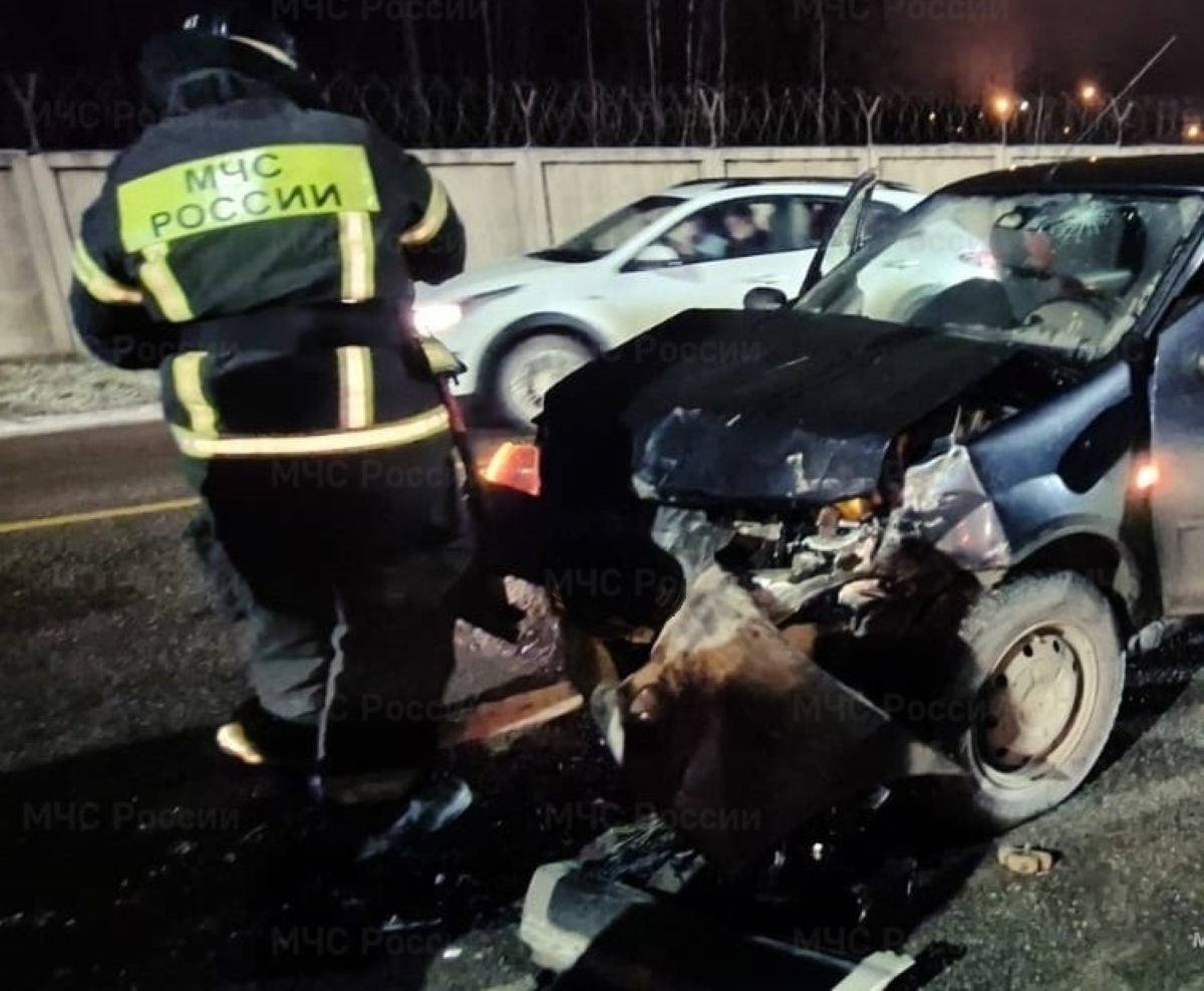 Пенсионер устроил массовое ДТП в Калужской области
