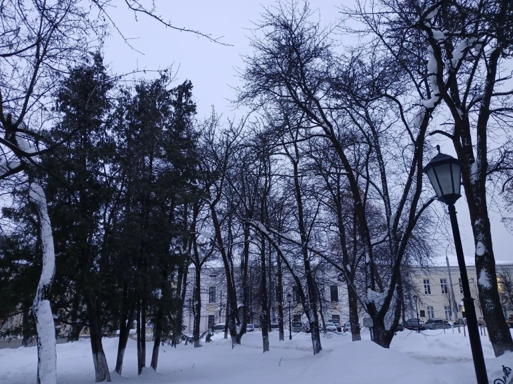 Калугу ждёт самый тёплый день с начала 2026 года