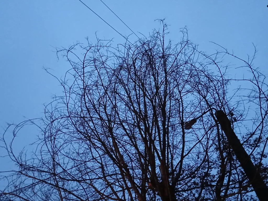 Беспилотную опасность объявили в Калужской области