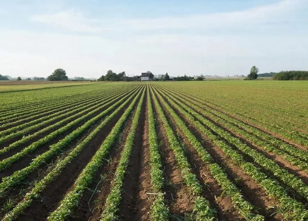 В Тарусе суд вернул землю государству, полученную бизнесменом обманным путём
