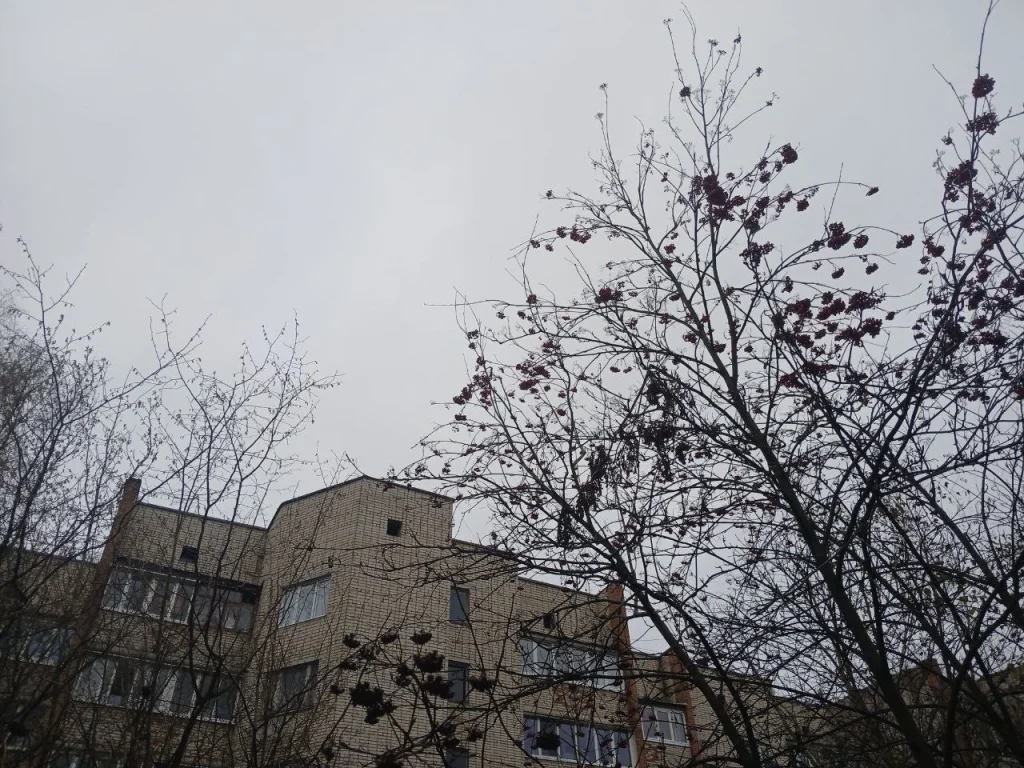 Калугу накроет сильный снег