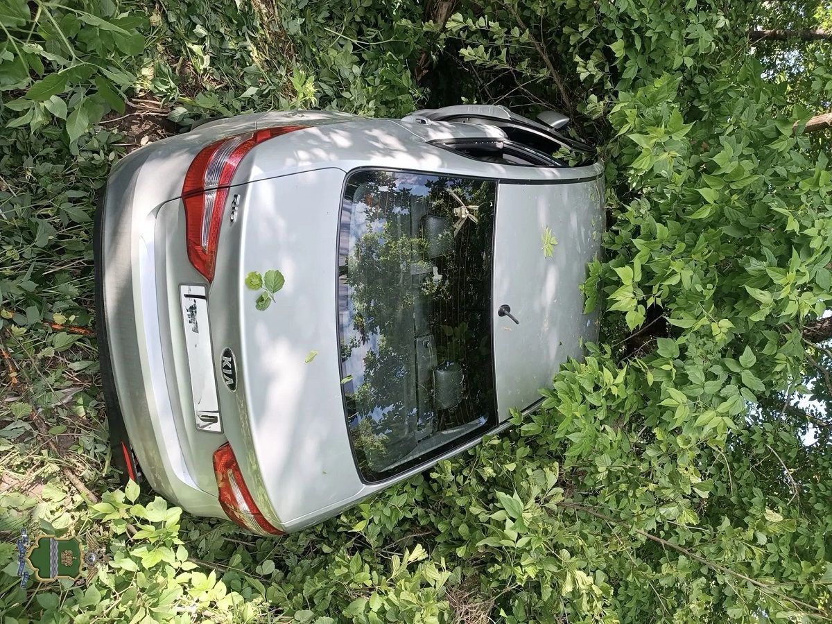 Водитель погиб во влетевшей в дерево Kia Rio в Людиново