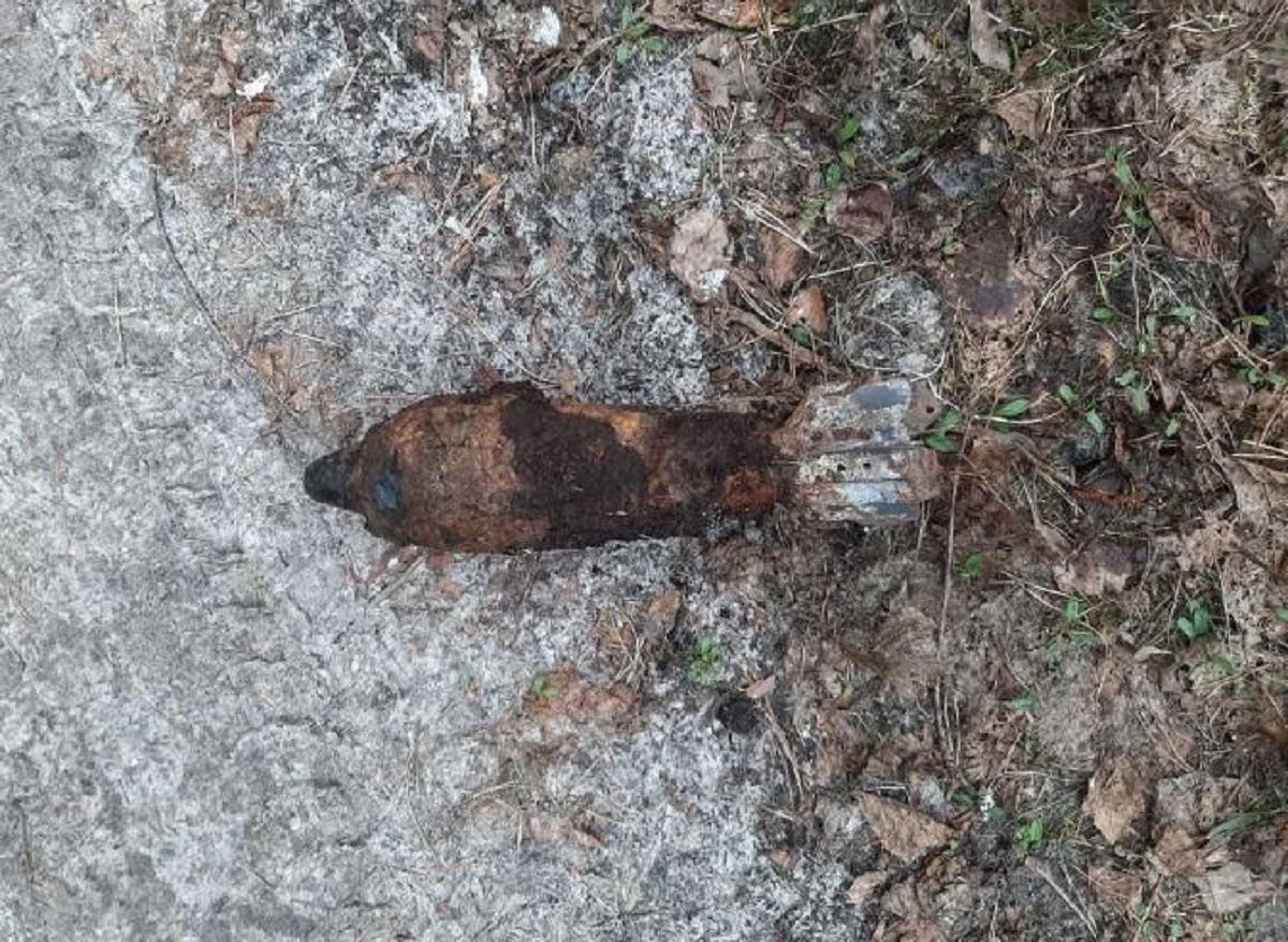 В Хвастовичском районе Калужской области обезврежена мина времен Великой Отечественной войны
