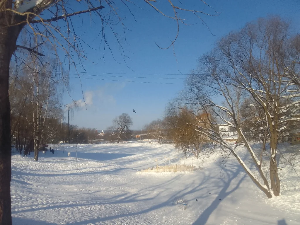 Воскресенье в Калуге будет морозным и пасмурным