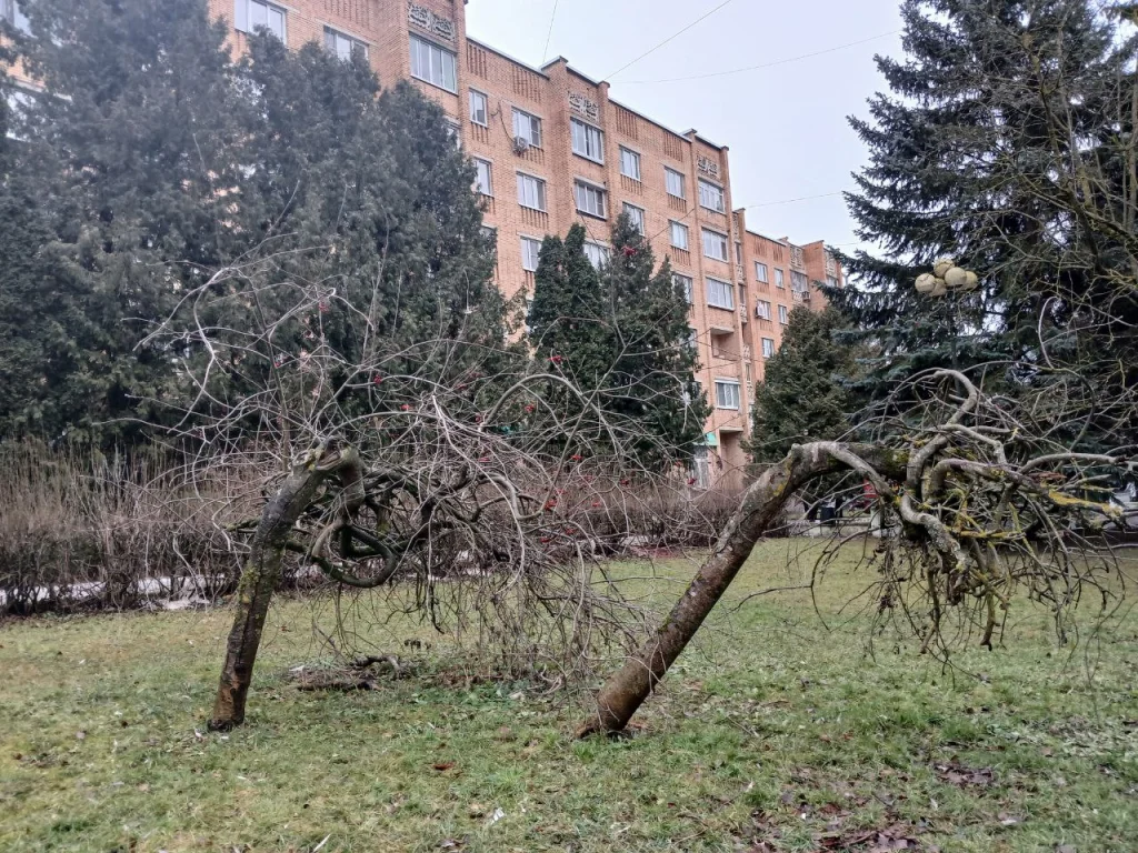 Резкое похолодание прогнозируют в Калужской области