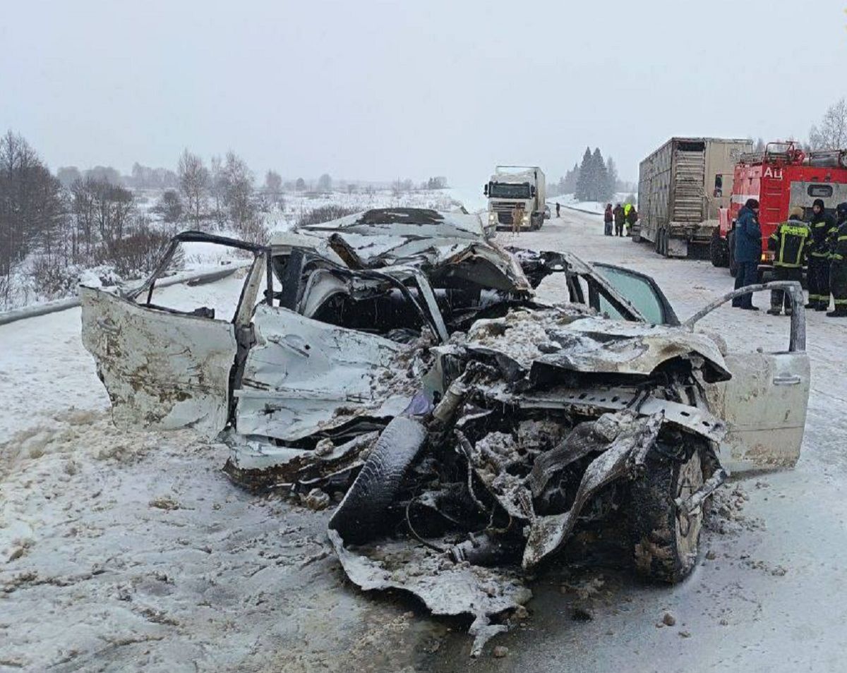 Среди погибших в массовом ДТП с грузовиком под Калугой оказалась 4-летняя девочка