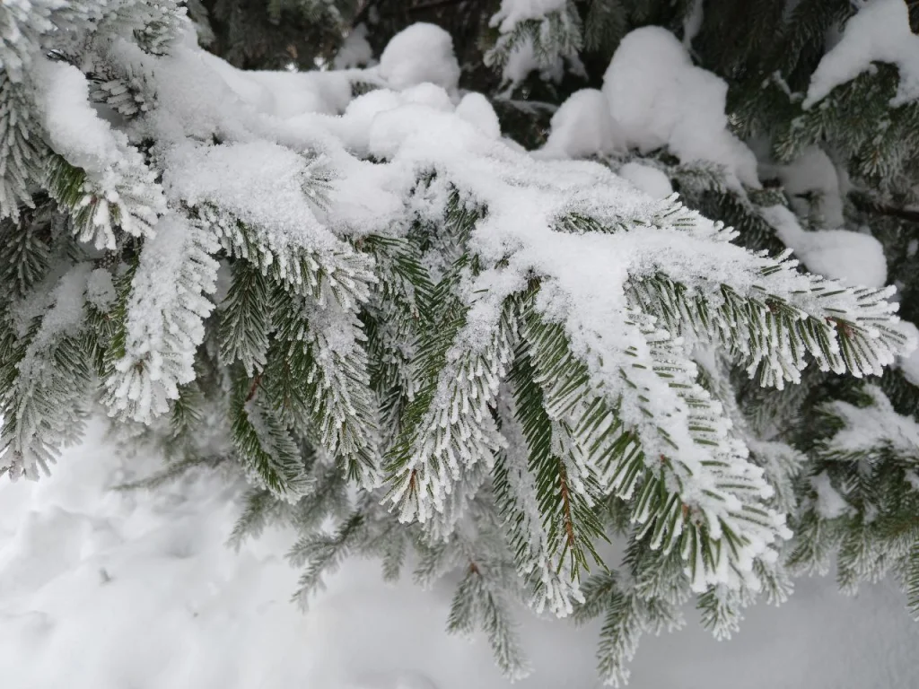 Сильные снегопады накроют Калужскую область