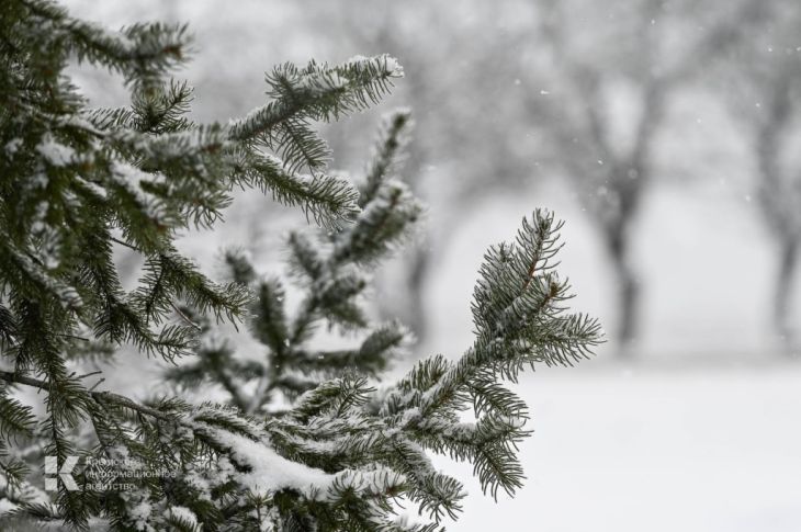 Крым готовится к ледяному удару
