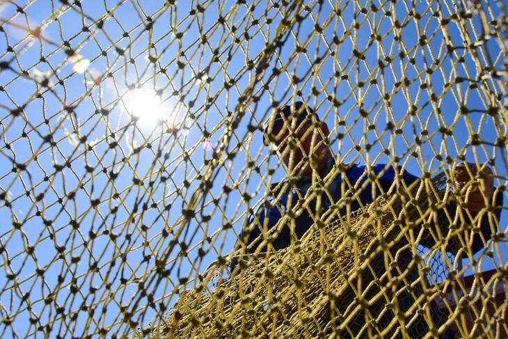 В Азовское море возвращается царская рыба