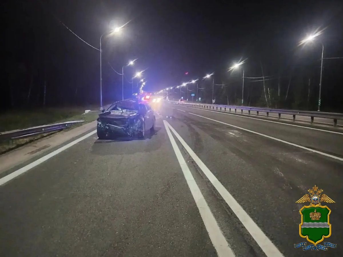 Chevrolet врезался в дикое животное, а потом в ограждение на трассе в Калужской области